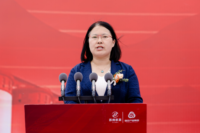 图片11