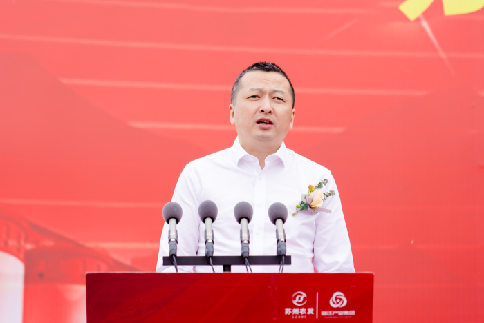图片13