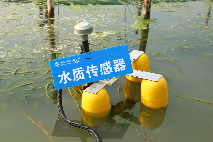 图片2