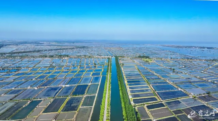 QQ图片20240516112013