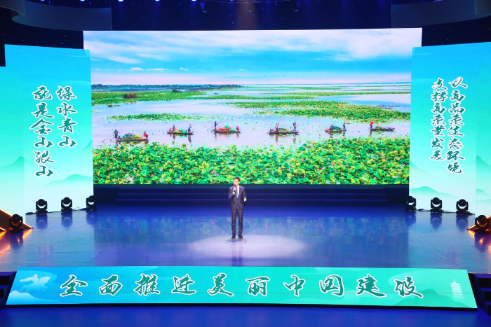 图片16