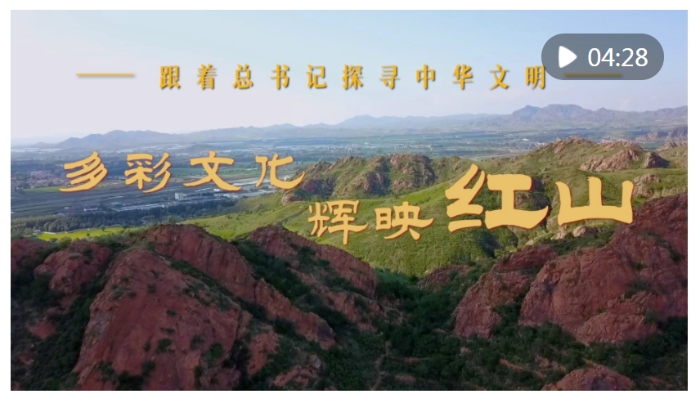 微信截图_20240620155343