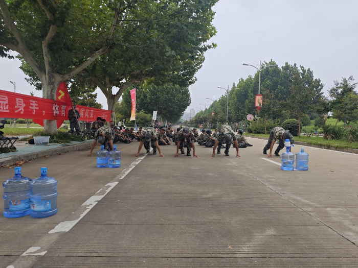 图片3