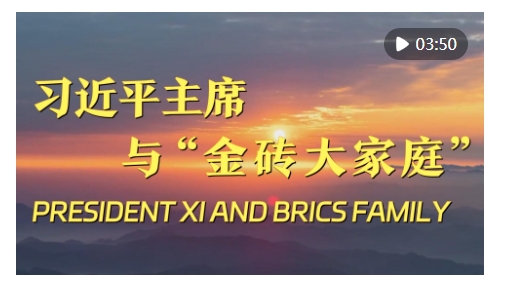 微信截图_20241022151135