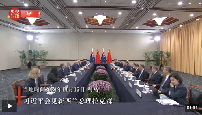 微信截图_20241117125656