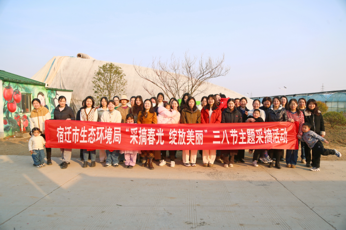 图片4