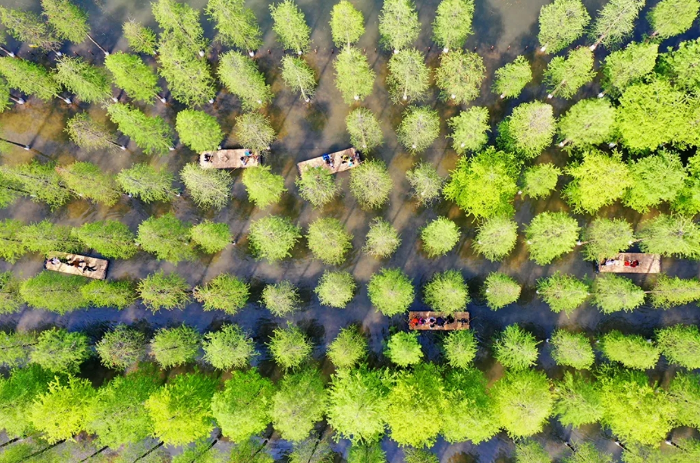 微信截图_20250428111406