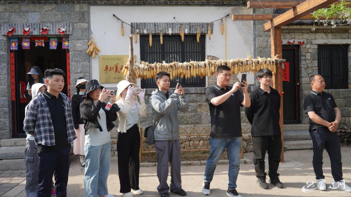 图片10 图片10