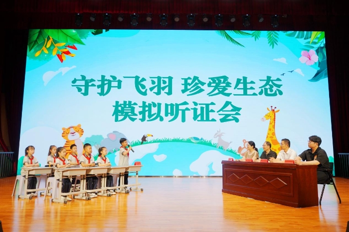 图片4